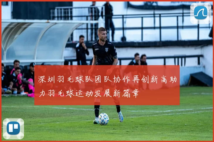 深圳羽毛球队团队协作再创新高助力羽毛球运动发展新篇章
