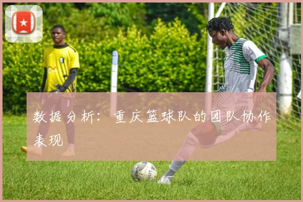 数据分析：重庆篮球队的团队协作表现