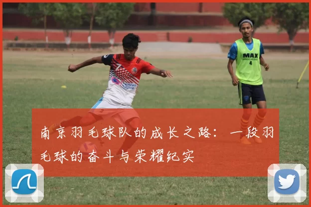 南京羽毛球队的成长之路：一段羽毛球的奋斗与荣耀纪实