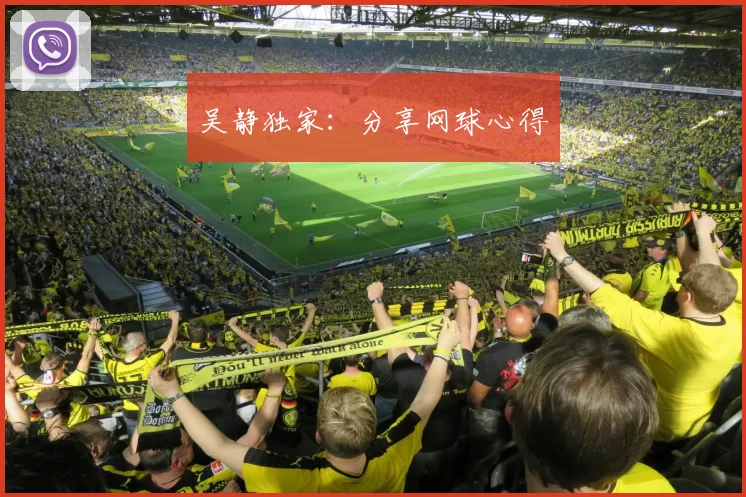 吴静独家：分享网球心得