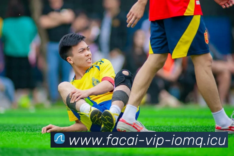 爱游戏体育平台生态图